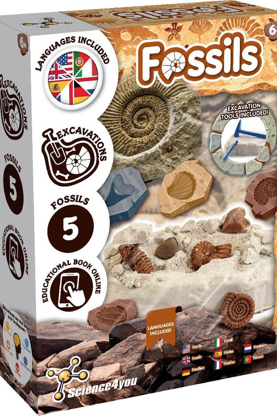 Fossil Excavation - Multilingual Version