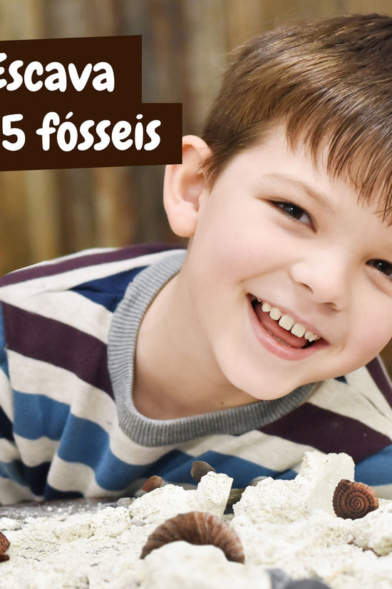 Fossil Excavation - Multilingual Version