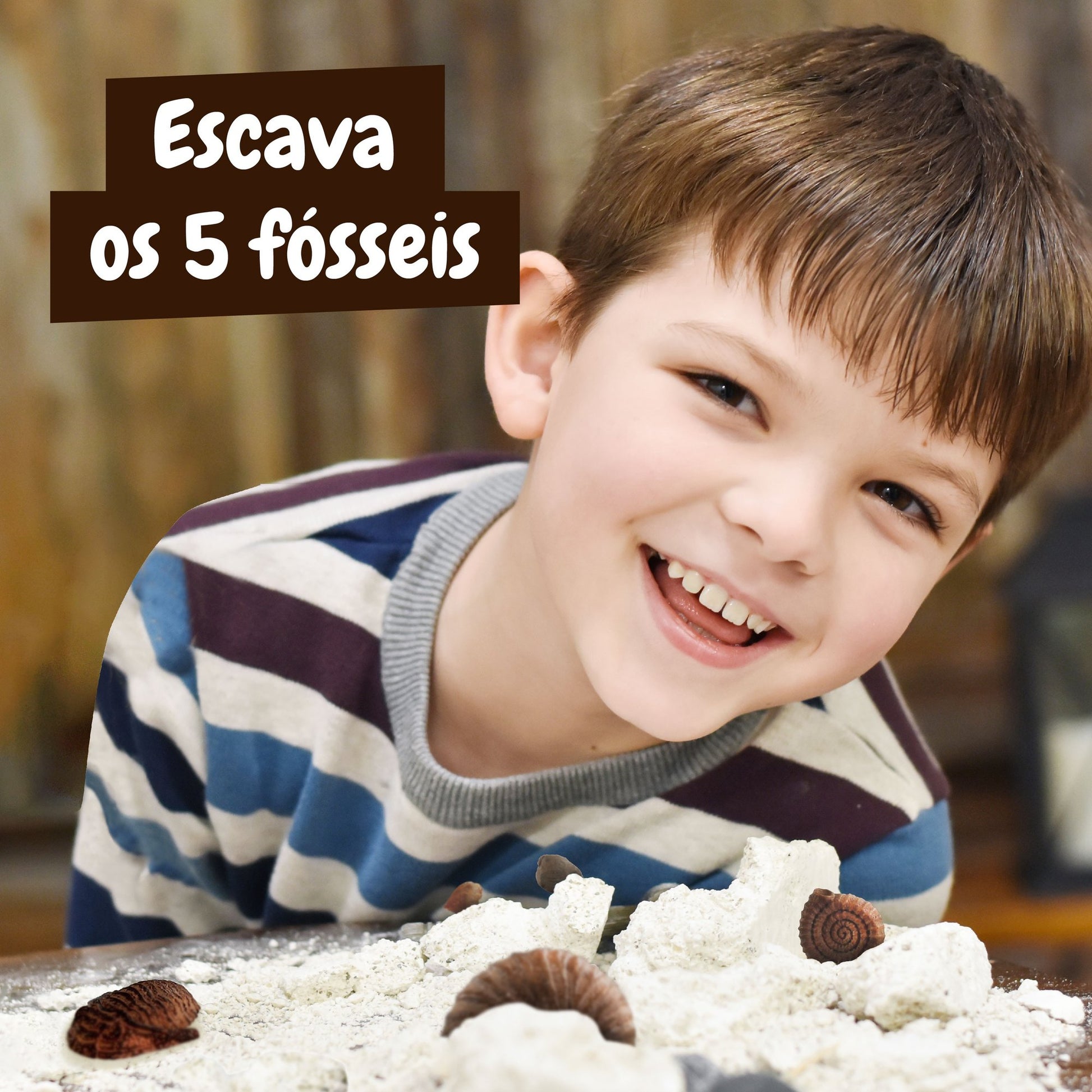 Fossil Excavation - Multilingual Version