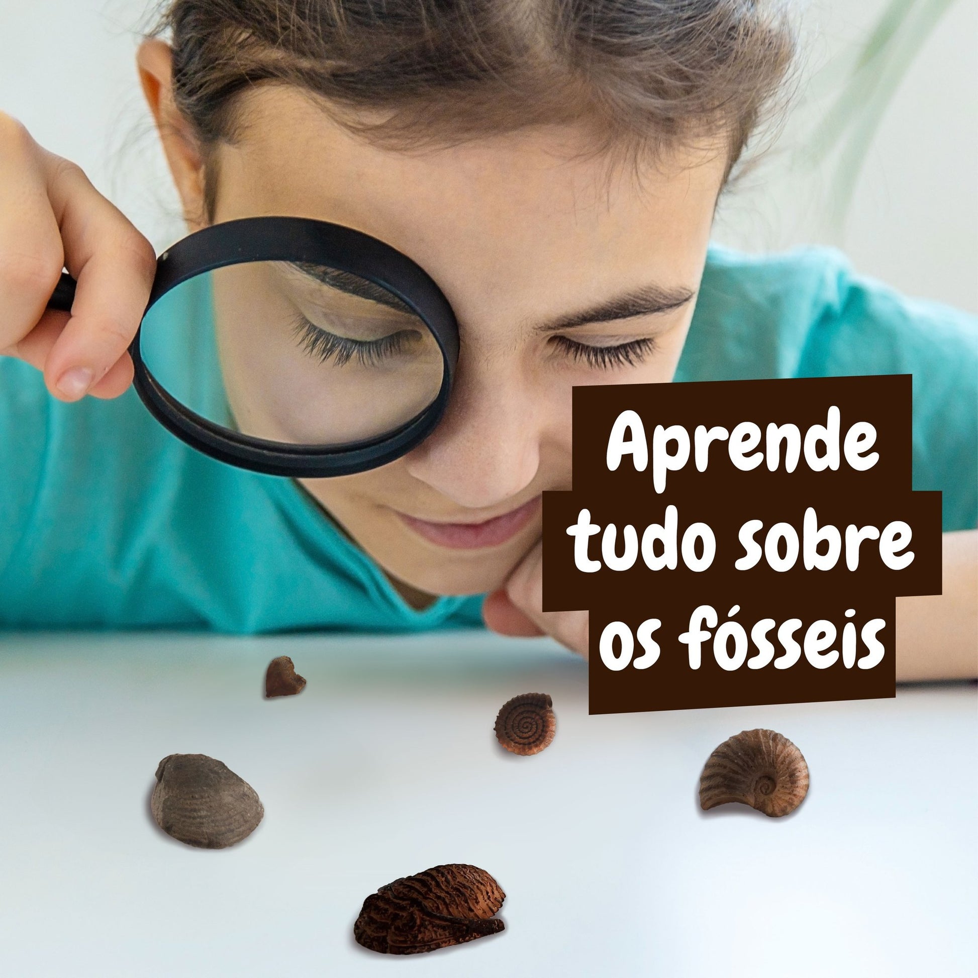 Fossil Excavation - Multilingual Version