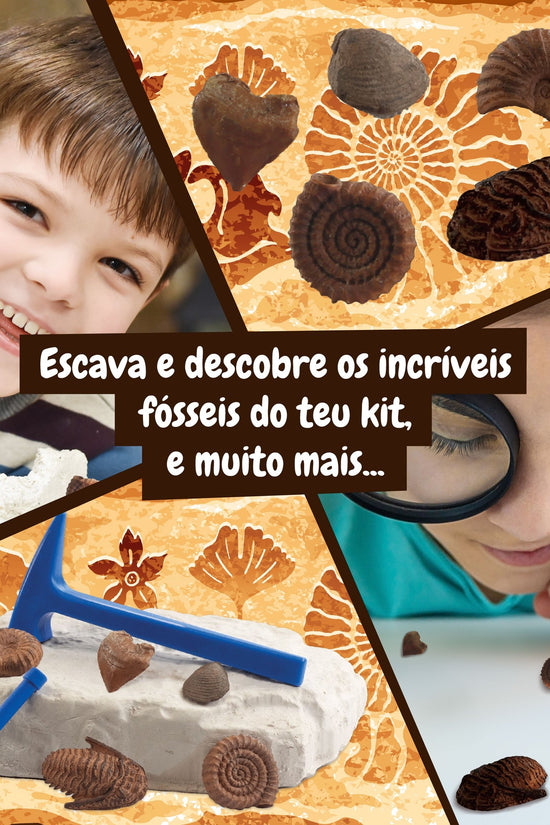 Fossil Excavation - Multilingual Version