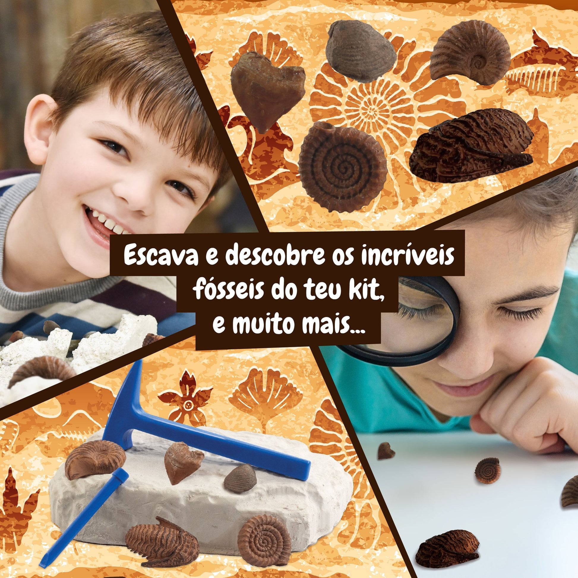 Fossil Excavation - Multilingual Version