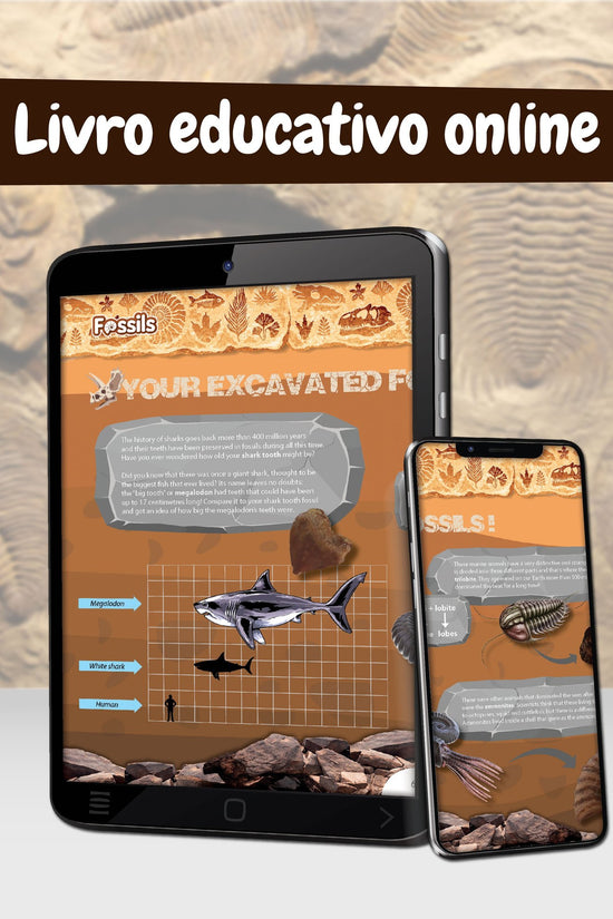 Fossil Excavation - Multilingual Version