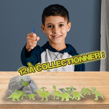 Kit Mini-Fouilles GID