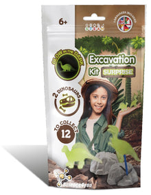 Mini GID Excavation Kit