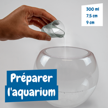 Créatures Jurassiques