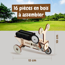 Reptile Robot en Bois